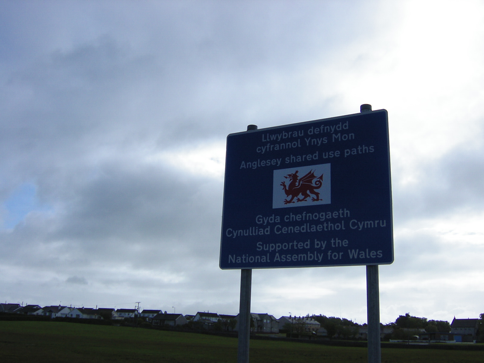 ホーリーヘッド ネコノヒゲ